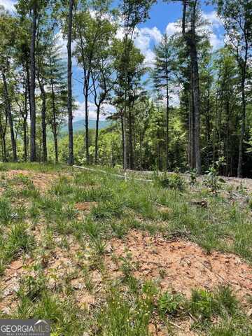 Lot 95 The Ridges, Morganton, GA 30560