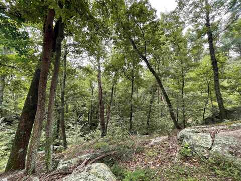 0 Pine Shadow Lane, Landrum, SC 29356