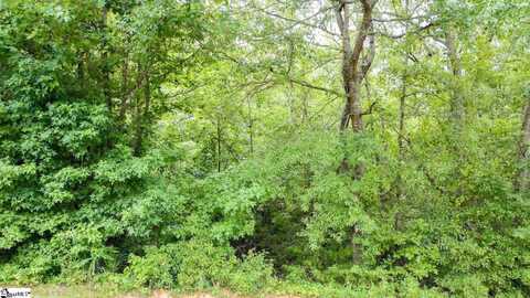 00 Country Glen Lane, Pelzer, SC 29669