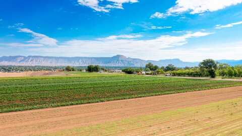 317 31 1/2 Road, Grand Junction, CO 81503