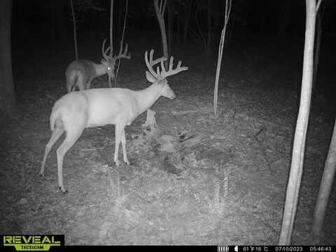448 Candy Run Houston Hollow Rd., Lucasville, OH 45648