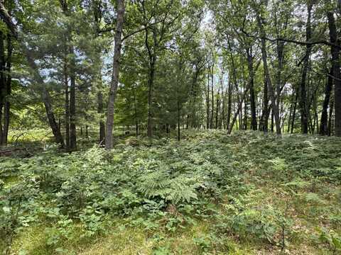 undefined, Chase, MI 49623