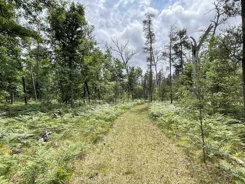 00 E 10 Mile Road, Irons, MI 49644