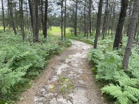 00 E 10 Mile Road, Irons, MI 49644