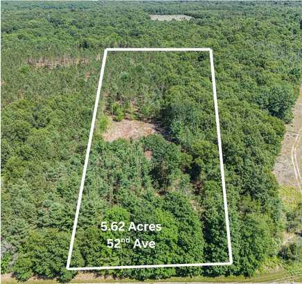 Parcel E 52nd Avenue, Mears, MI 49436