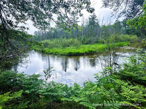 00 Millerton Road, Branch, MI 49402