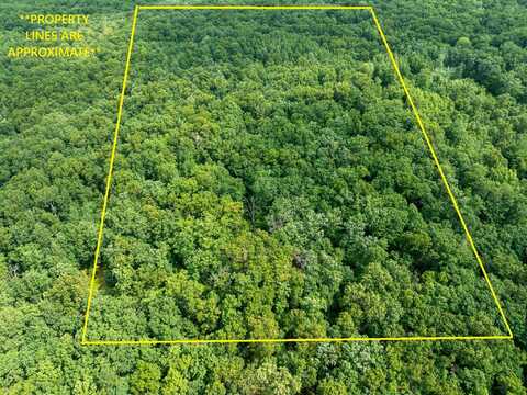 6946 W 7 Mile Road, Irons, MI 49644