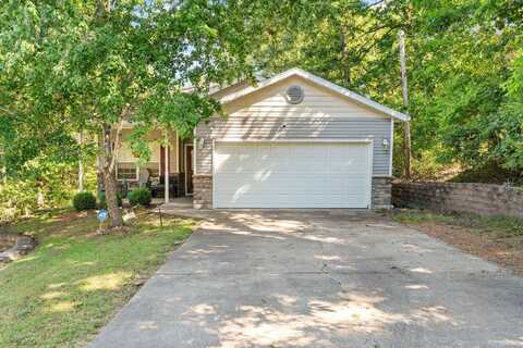 1005 Buck Lane, Merriam Woods, MO 65740