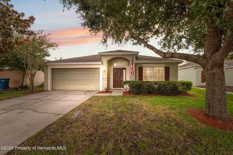 15585 Lily Wood Lane, Brooksville, FL 34604