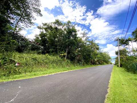POMAIKAI ST, Pahoa, HI 96778