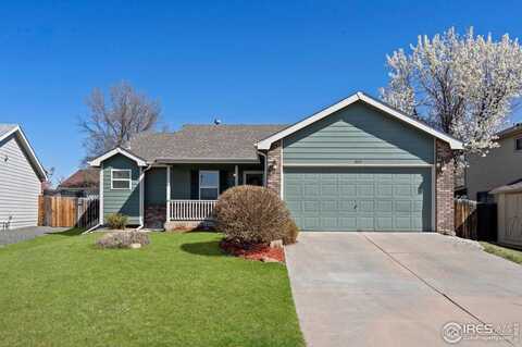 304 Hemlock Dr, Windsor, CO 80550