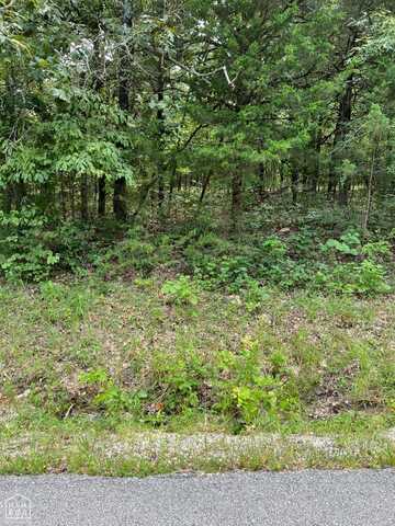 807 W W. Tri Lakes, Horseshoe Bend, AR 72512