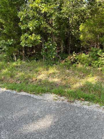 1220 Cedar Lake Drive, Horseshoe Bend, AR 72512