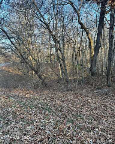125 Devon Rd, Crossville, TN 38558