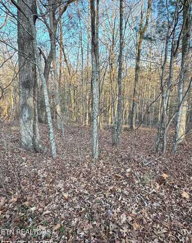 21 Burnaby Court, Crossville, TN 38558