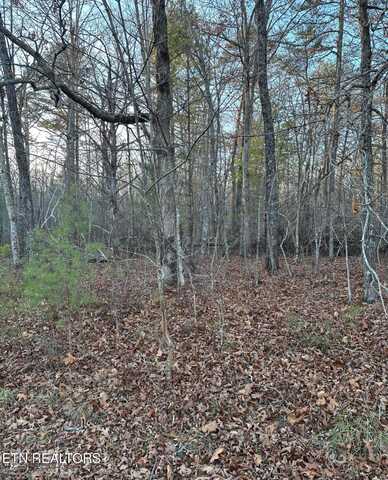 22 Burnaby Court, Crossville, TN 38558
