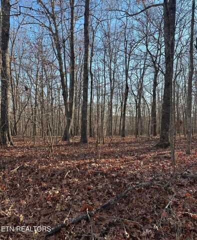 142 Hamlet Drive, Crossville, TN 38558