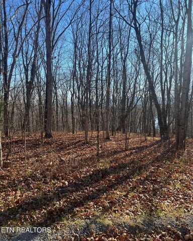 214 Wycliff Lane, Crossville, TN 38558
