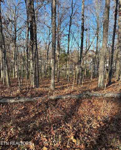 139 Hamlet Drive, Crossville, TN 38558