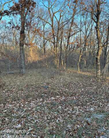 117 Berlingwood Lane, Crossville, TN 38558