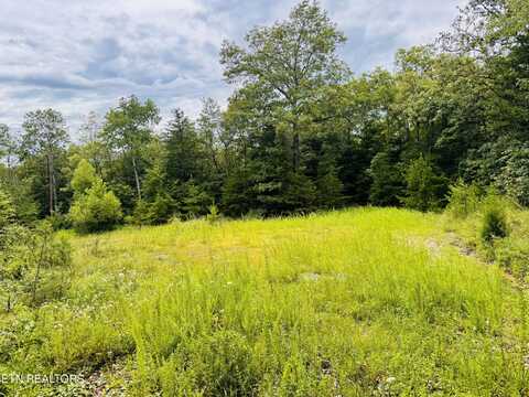 Collins Turnpike, Deer Lodge, TN 37726