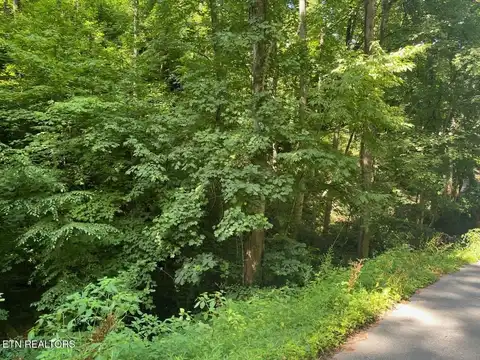 Heiden Drive, Gatlinburg, TN 37738