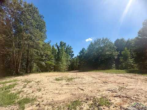 1435 Red Maple Rd, Big Sandy, TX 75755