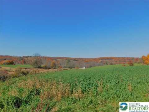 Mill Drive, West Penn Twp, PA 18252