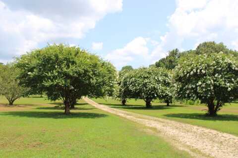 8055 HIGHWAY 87, Henning, TN 38041