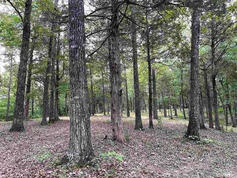5335 COUNTRY CLUB, Somerville, TN 38068