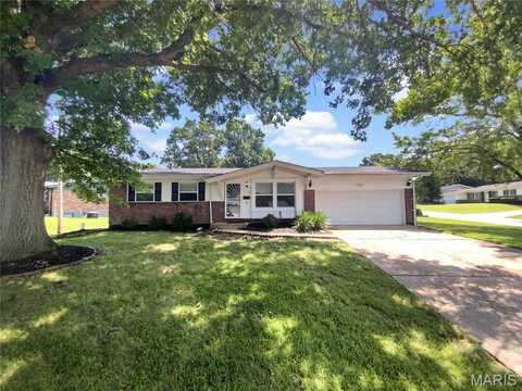 11100 Landseer Drive, Saint Louis, MO 63136