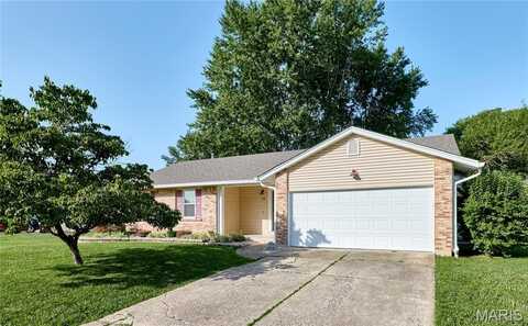 19 Constellation Hill, Saint Peters, MO 63376