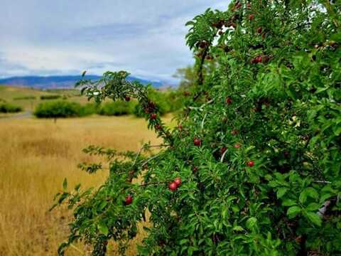 Tbd Mesa Road, Mesa, ID 83643