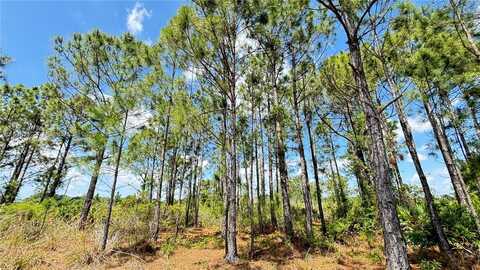 18121 NW 304 th st, Okeechobee, FL 34972