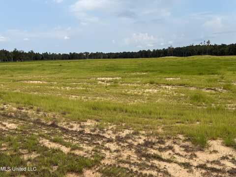 0 Hwy 43, Kiln, MS 39556