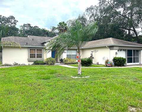 8116 RHANBUOY ROAD, SPRING HILL, FL 34606