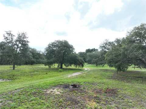 6671 NE 131ST AVENUE, WILLISTON, FL 32696