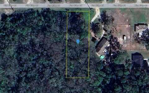 11306 PINE RIDGE ROAD, LEESBURG, FL 34788