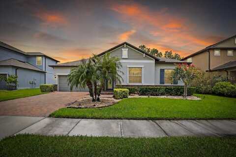 2781 HILLIARD DRIVE, WESLEY CHAPEL, FL 33543