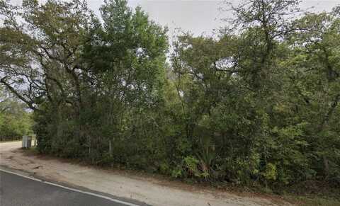 NE 154TH PLACE, FORT MC COY, FL 32134