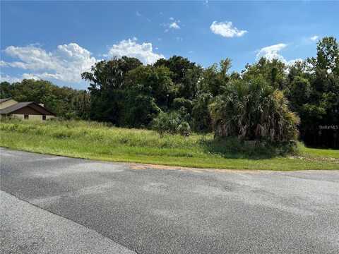 REDTREE DRIVE, LEESBURG, FL 34748