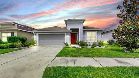 17523 BUCKINGHAM GARDEN DRIVE, LITHIA, FL 33547