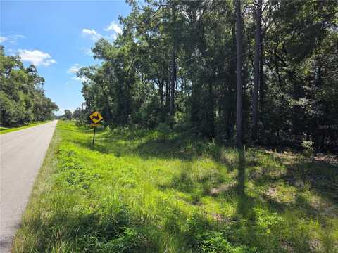 000 SE 32 PLACE, MORRISTON, FL 32668