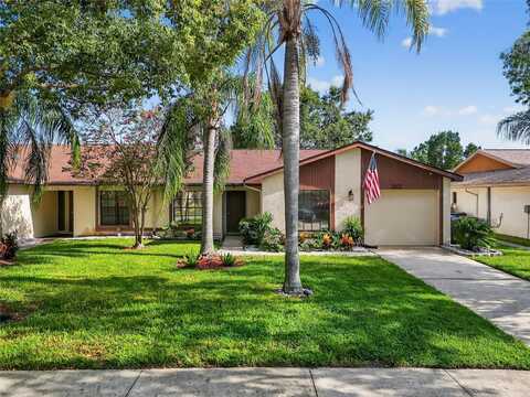 2007 DOVER CT, OLDSMAR, FL 34677