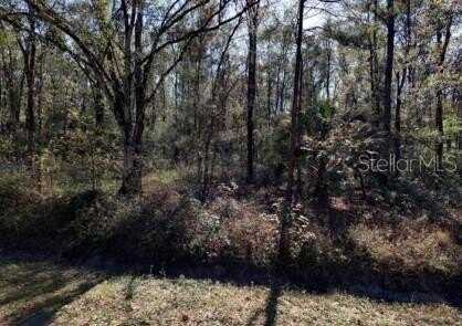 4572 DIVISION STREET, HASTINGS, FL 32145
