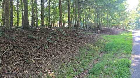 Lot 4 V Addington Road, BLAIRSVILLE, GA 30512