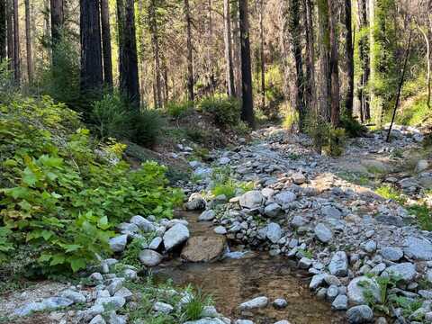 Lot 04 Boulder Brook DR, BOULDER CREEK, CA 95006