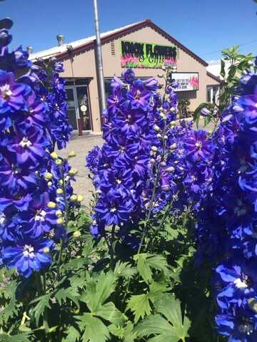 2005 Columbia Avenue, Helena, MT 59601