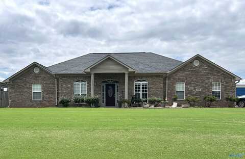 119 Hannah Marie Place, Toney, AL 35773