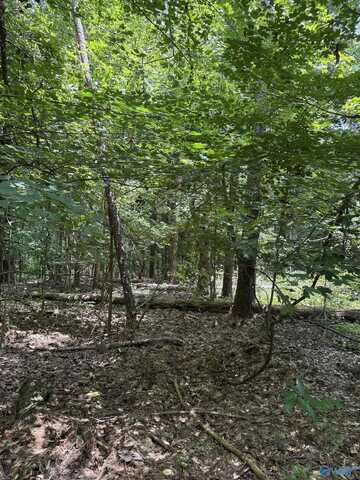 4 Parkwood Lane, Glencoe, AL 35905